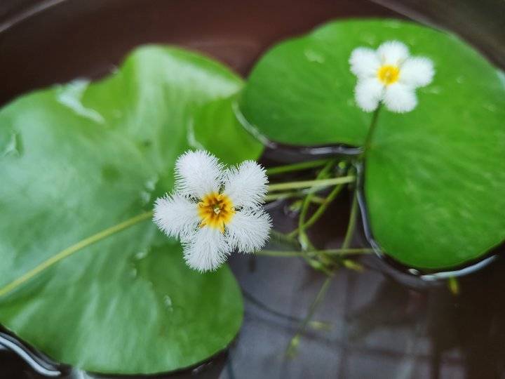 图片加载失败